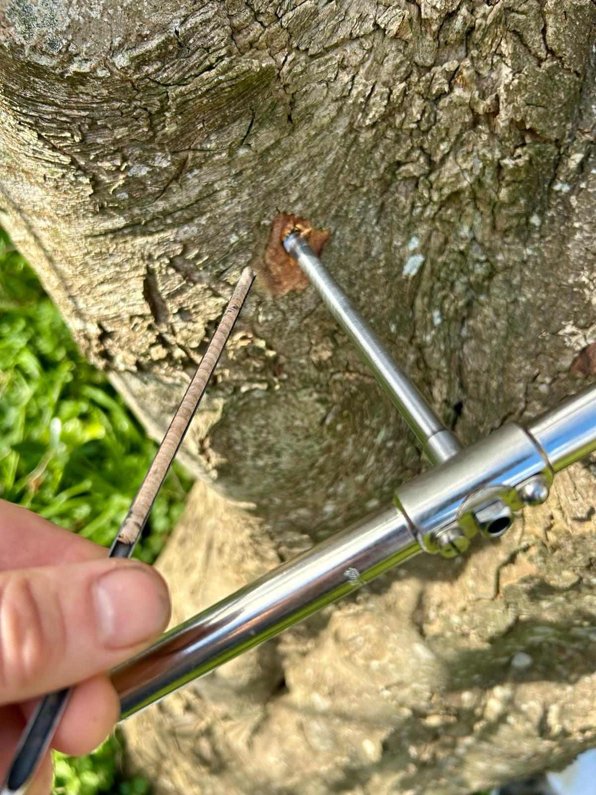 Diagnosing a tree